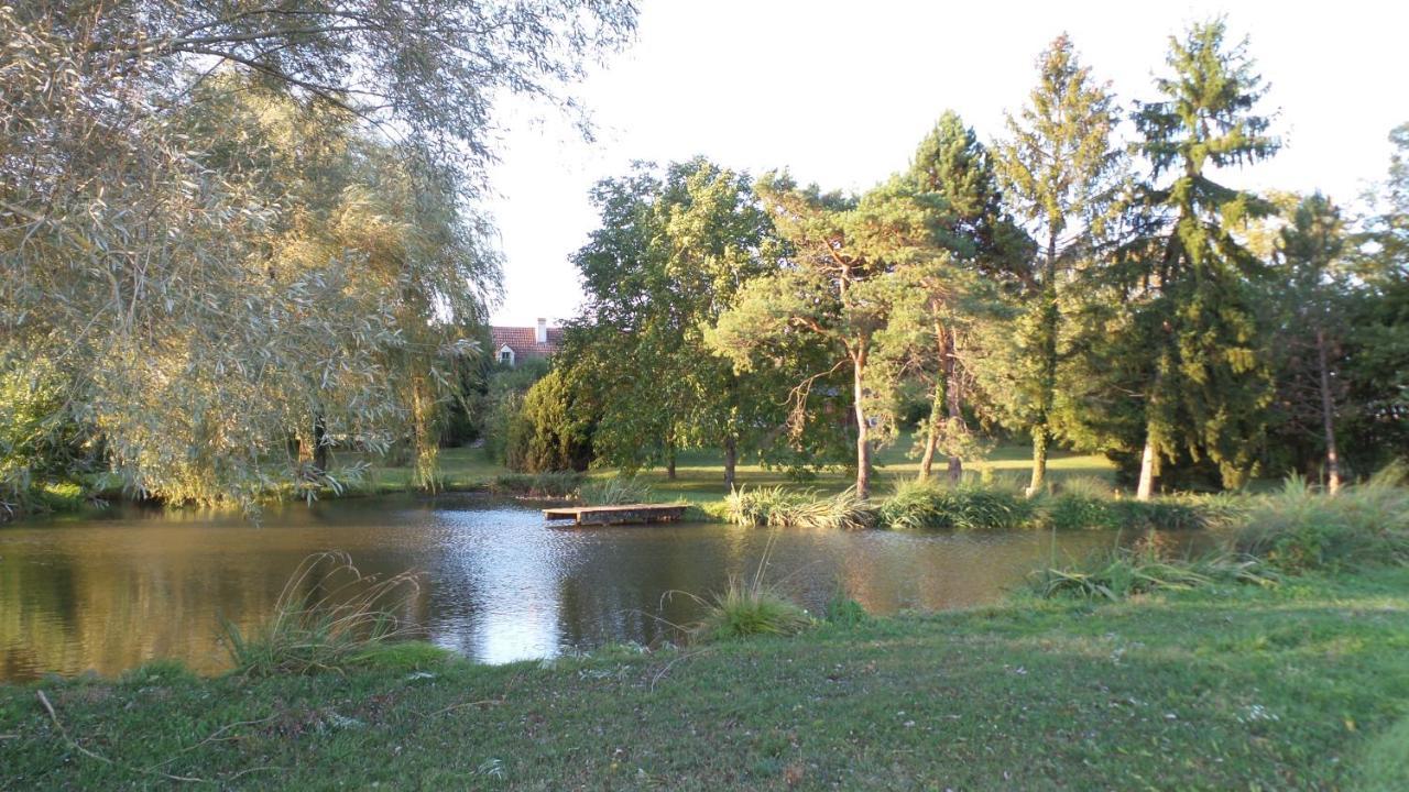 La Petite Noue Bed & Breakfast Vignoux-sous-les-Aix Bagian luar foto